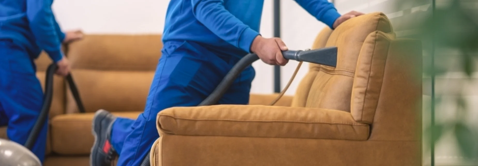 carpet cleaning in rockland, carpet cleaner in rockland, carpet cleaners in rockland, carpet cleaners in rockland